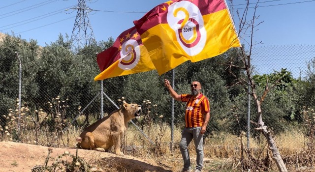 Diyarbakırlı taraftar, Galatasarayın 24. şampiyonluğunu aslanlarıyla kutladı