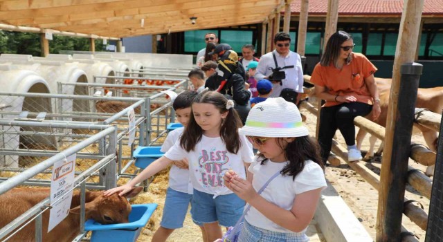 Dünya Süt Gününü coşkuyla kutlandılar