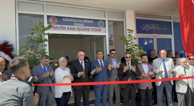Düzcede fındık işleme tesisi açıldı