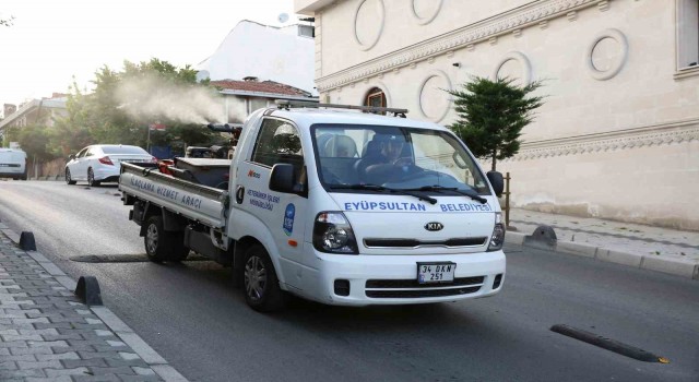 Eyüpte sivrisinek ilaçlama çalışmaları aralıksız sürüyor