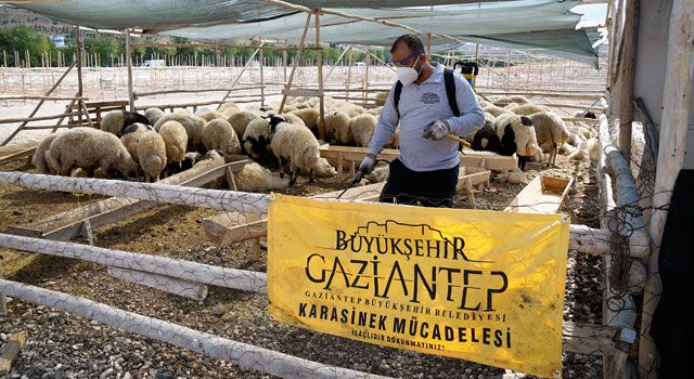 Gaziantep’te 700 Kişilik Ekip Kurban Mesaisi Yapacak