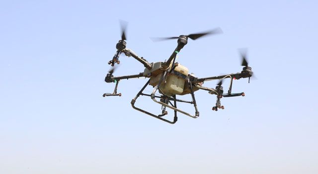 Hatay’da İlaçlama Drone İle Yapılıyor