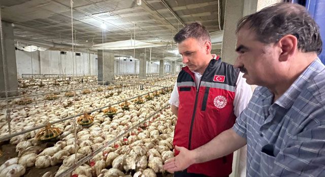 İl Tarım ve Orman Müdürlüğünden Tavuk Çiftliğine Ziyaret