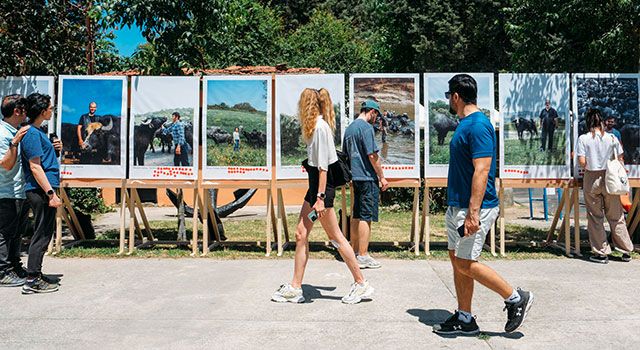 İstanbul'un Sulak Alanlarının Geleceği için Manda Festivali'ni Düzenledi