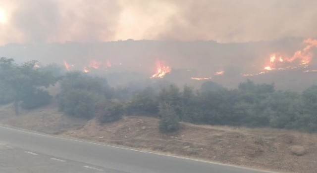 Kahramanmaraşta iki ayrı alanda örtü yangını