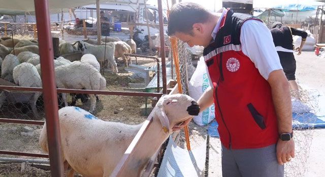 Kurban Pazarı Denetimleri Aralıksız Devam Ediyor