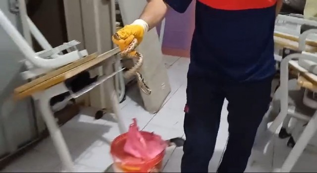 Kurs deposuna giren yılanı itfaiye görevlisi yakaladı