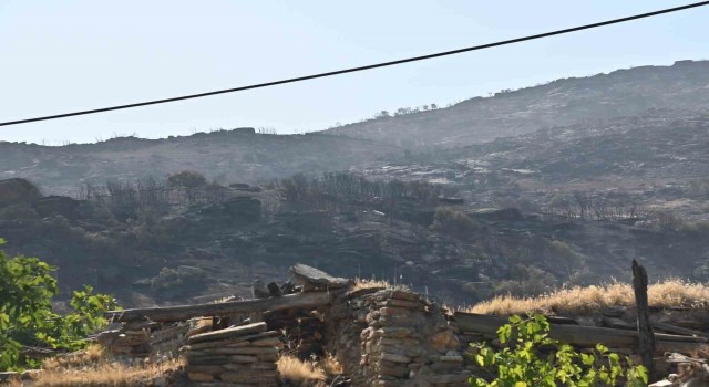 Manisadaki yangınlar geçen seneye göre 2 kat arttı