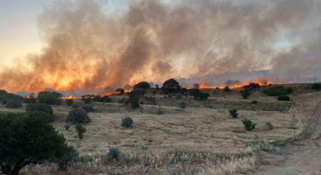 Mardinde ormanlık alanda çıkan yangın söndürüldü