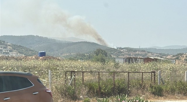 Milastaki orman yangını kontrol altına alındı
