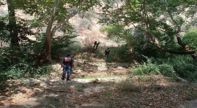 Ormanlık alanda mangal yakan 31 kişi cezadan kaçamadı