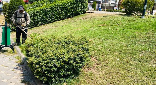 Osmaniye Belediyesi, Yeşil Alanlarda Bakım Çalışmalarına Devam Ediyor