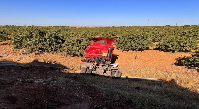 Şanlıurfada kurbanlık boğaları taşıyan tır ile traktör çarpıştı