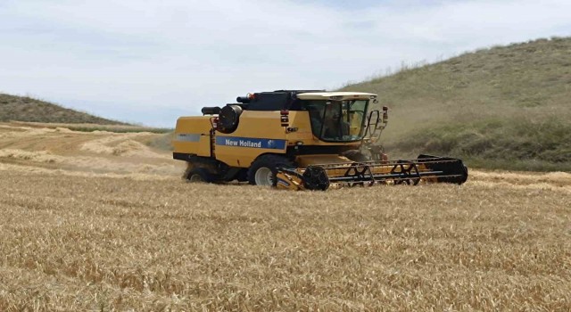 Sungurluda 2024 yılı hasat sezonu açıldı