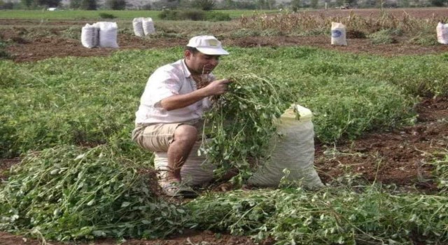 Osmaniye'de Tarla sulamaya giden çiftçinin cesedi bulundu
