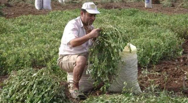 Tarlasını Sulamaya Giden Çiftçi Hayatını Kaybetti!