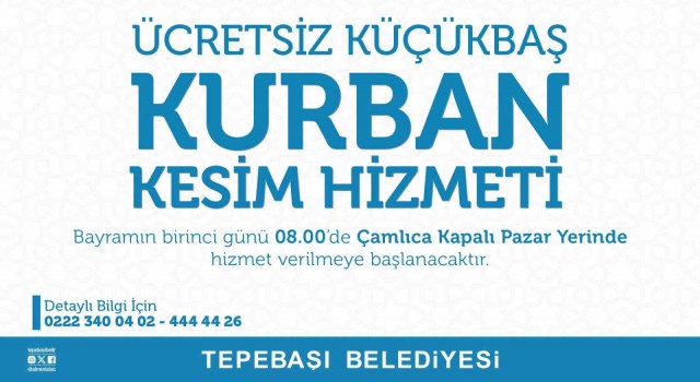 Tepebaşında kesim alanı hazır