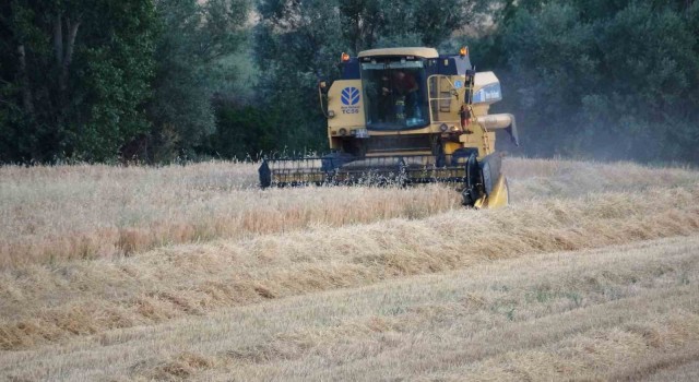 Yozgatta kuraklık nedeniyle arpa hasadı erken başladı