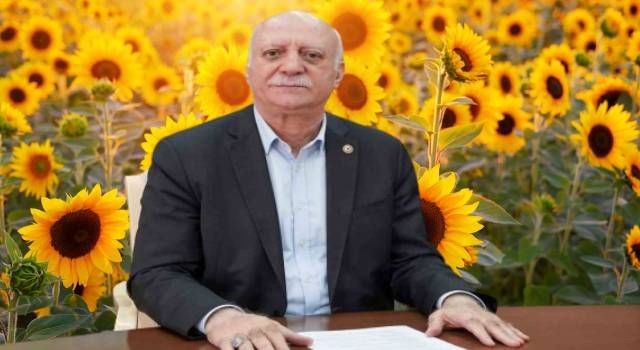 Akdeniz Bölgesinde Ayçiçeği Hasadı Yüzleri Güldürmedi