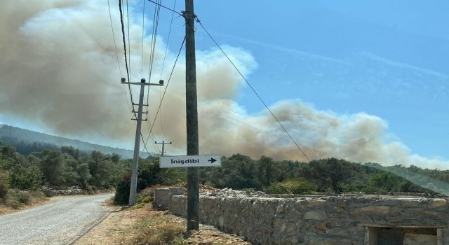 Bodrumdaki orman yangınına havadan ve karadan müdahale devam ediyor