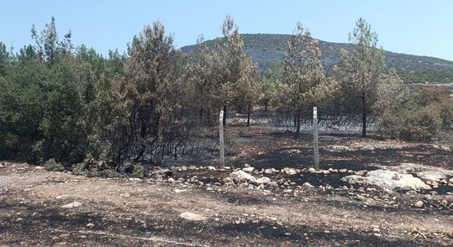 CHP İl Başkanı Ateş’ten Anız Yakma Uyarısı: "Geleceğimizi Yakmayın"
