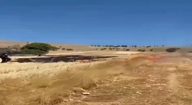 Elazığda anız yangını