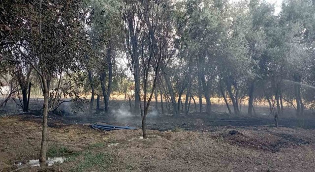 Elazığda bahçede korkutan yangın