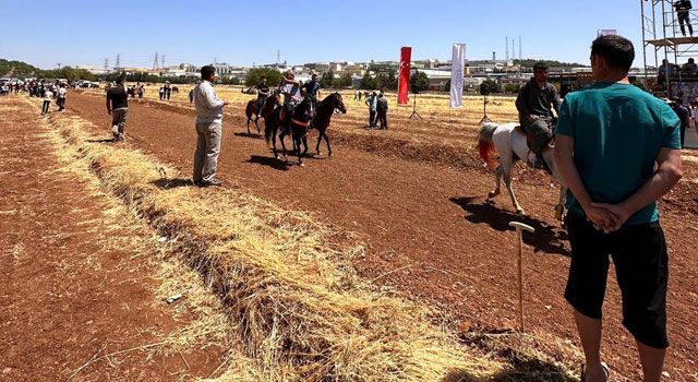 Gaziantep’te 4. Geleneksel Rahvan At Yarışları Yapıldı