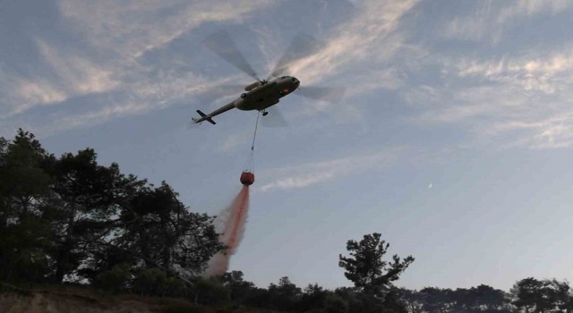 Germencikteki yangın kontrol altına alındı