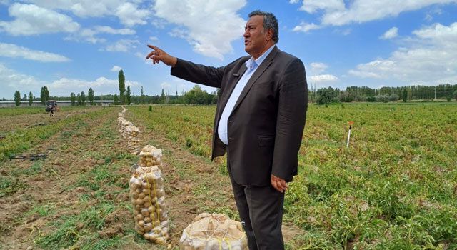 Gürer: “Patates Üreticisi de Tüketicisi de Dertli”