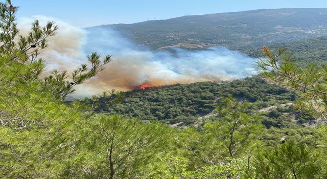 Hatay’da ki Orman Yangını Kontrol Altına Alındı