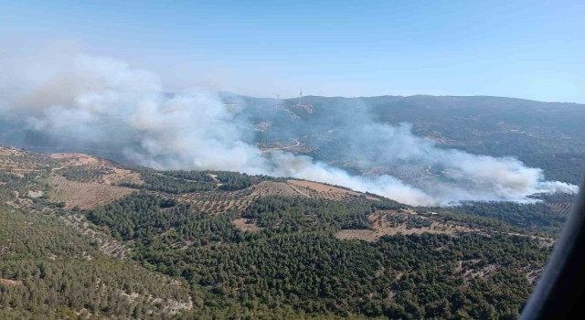 Hatayda orman yangını