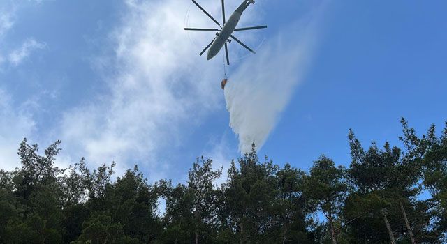 Hatay’da Orman Yangını Söndürüldü