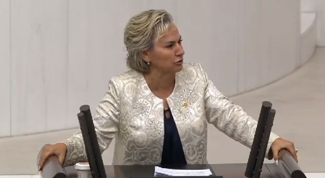 İYİ Parti Milletvekili Nimet Özdemir Partisinden İstifa Etti