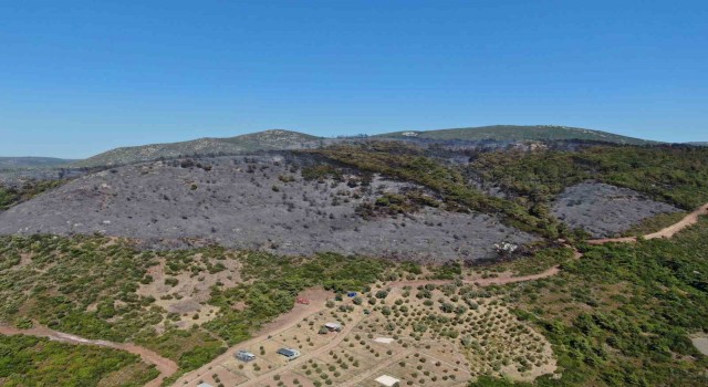 İzmir Urladaki yangının boyutu havadan görüntülendi