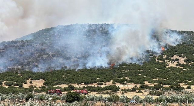 Kahramanmaraş'ın Pazarcık İlçesinde Anız Yangını Makilik Alana Sıçradı