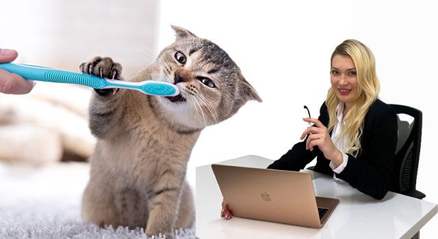 Kedi ve Köpeğinizin Diş Sağlığını Hafife Almayın!