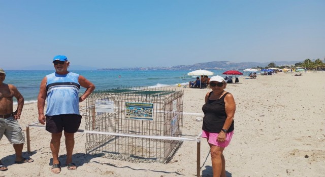 Kuşadasında caretta yuvaları çoğalıyor