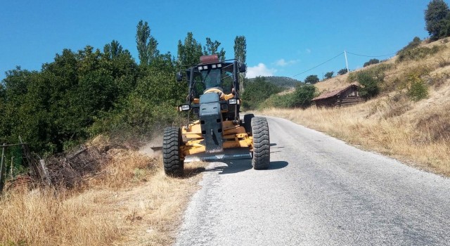 Kütahyada orman yangınlarına karşı yol kenarları temizleniyor