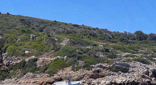 Marmariste 37 düzensiz göçmen yakalandı