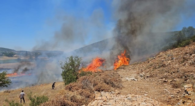 Muğlanın Menteşe İlçesinde tarım arazisi yangını