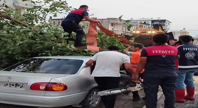 Osmaniye Belediyesi, Fırtına ve Sağanak Sonrası Hasarları Gidermek İçin Çalışıyor
