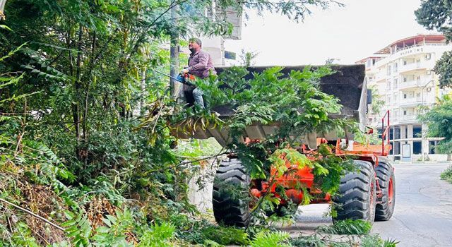 Osmaniye'de Çim Biçme ve Budama Çalışmaları Sürüyor
