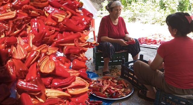Osmaniye’de Ev Yapımı Salça Telaşı Başladı
