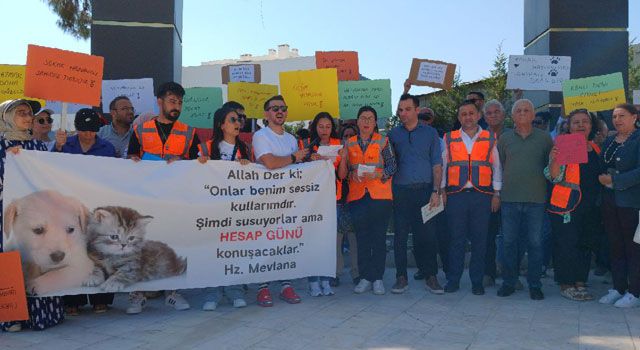 Osmaniyeli Hayvanseverler: 'Ötenazi Tasarısını Geri Çekin!'