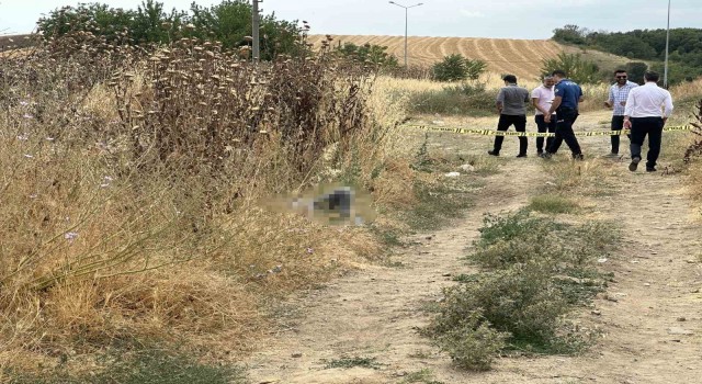 Tekirdağ’da Yaşlı Adamın Otluk alanda cansız bedeni bulundu