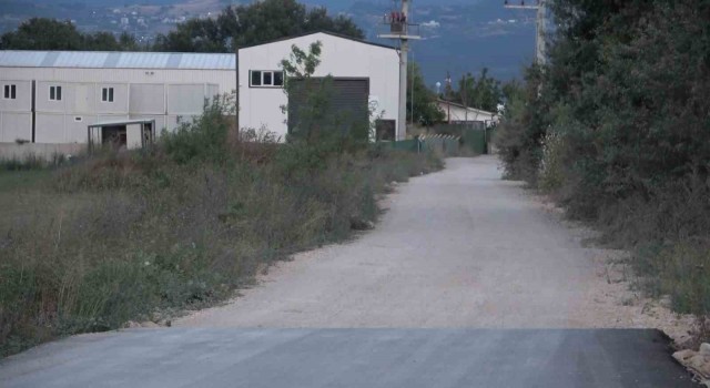 (Özel) Bir köpek dehşeti de Bursadan...