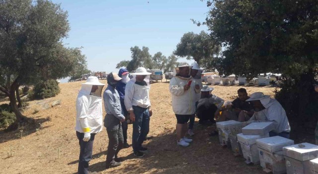 Sökede Arıcılık Kursu uygulama eğitimleri sürüyor