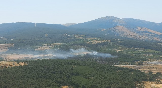 Somada orman yangını