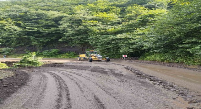 Trabzonda şiddetli yağış su taşkınları ve toprak kaymalarına neden oldu